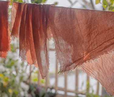 Dye from the Garden | Youth Workshop
