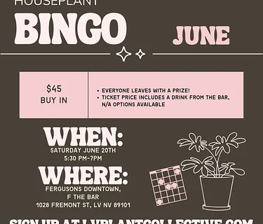 LV Plant Co: Houseplant Bingo