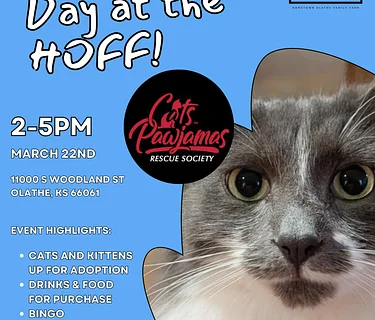 Bingo Sunday and Cat Adoptions at the HOFF