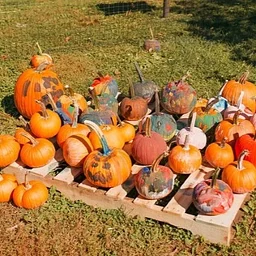 Fall Family Fun Weekends