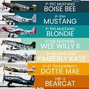 Warbird Roundup 2026 – Sunday