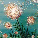 Dandelion Wishes – Jul 29