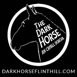 Dark Horse Irish Pub - Flint Hill, VA