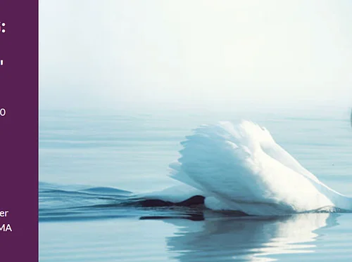 Cape Symphony presents “Nature’s Song: Vivaldi’s Four Seasons”