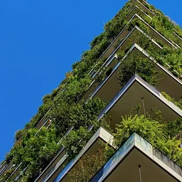 Nature in the Home: Principles of Biophilic Design
