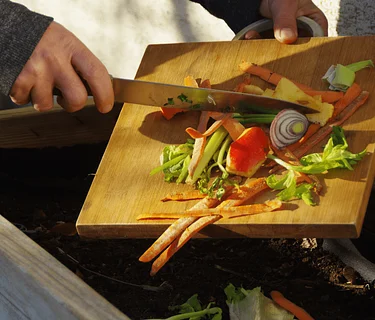 Organic Composting 101: Building Living Soil from the Ground Up
