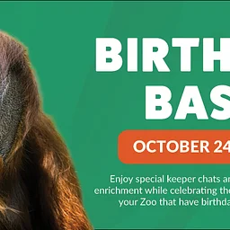 October Birthday Bash