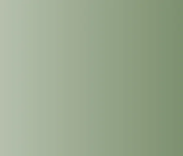 VA250 Public Dig Day: Animals of the Revolution