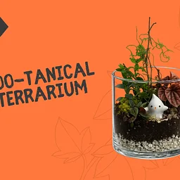 Workshop | BOO-tanical Terrarium
