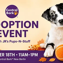 Adoption Event at Central Bark New Berlin