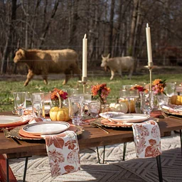 Luxury Picnic and Highland Cow Experience