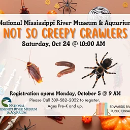 Oct242026 Not So Creepy CrawlersThe National Mississippi River Museum & Aquarium is bringing the fascinating Not So Creepy Crawlers program to the library on Saturday, October 24… Read more »