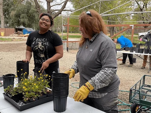 Volunteer Service Day
