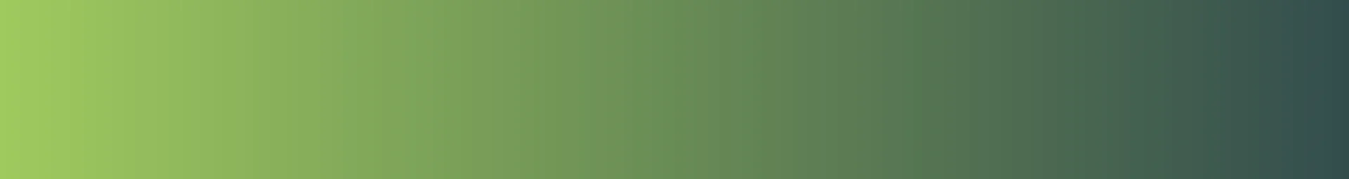 Stony Lake Brewing Co