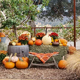 Fall Photo Sessions at Stonehouse Cellars