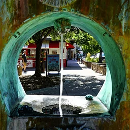Mineral Springs Foundation Presentation & Box Lunch Walking Tour