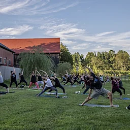 Yoga with Lindsay Cook