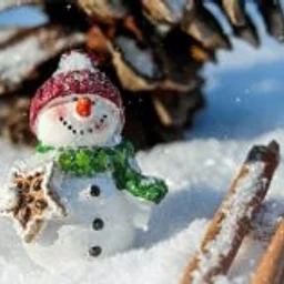Winter Wonderland Craft Fair