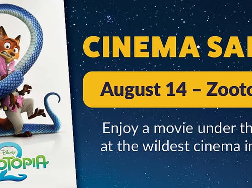 Cinema Safari 2026 – Zoofari 2