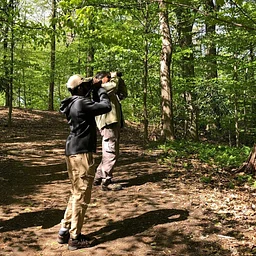 Guided Birding Walks