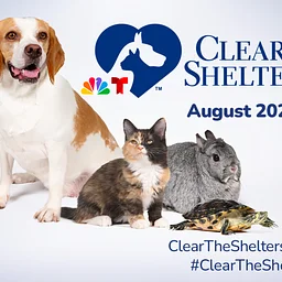 Clear the Shelters