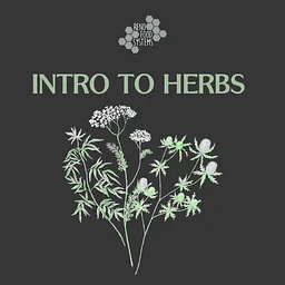 Intro to Herbs Series