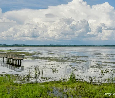 Van Trip to Havana, IL