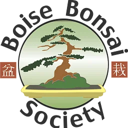 Boise Bonsai Society Summer Workshop