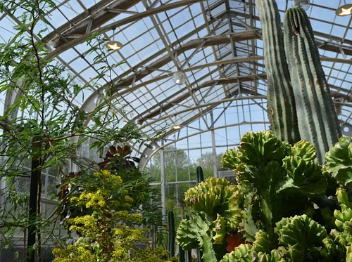 Desert Biomes in the Conservatory