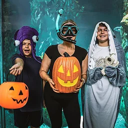 Scarium Family Night