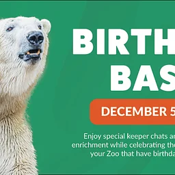 December Birthday Bash