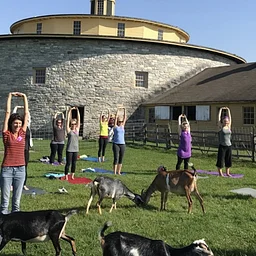 Goat Yoga – August 29