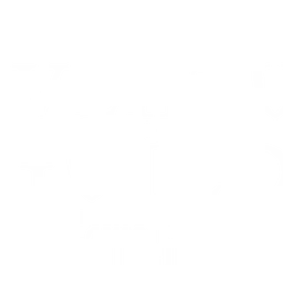 The Adventure Guild