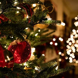 Christmas Day