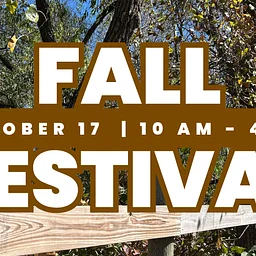 Fall Festival