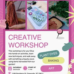 MVF Creative Workshop