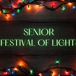 Senior Trips: Festival of Lights