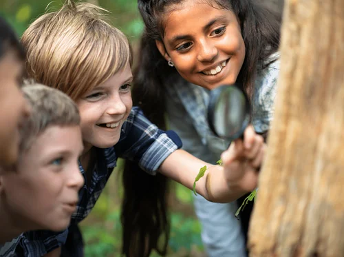 Eco Explorers: Garden Journaling