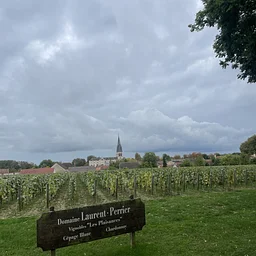 Holiday Series #4: Champagne Laurent Perrier; a winery focus