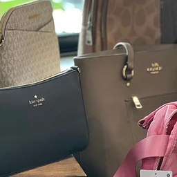 Purse Bingo