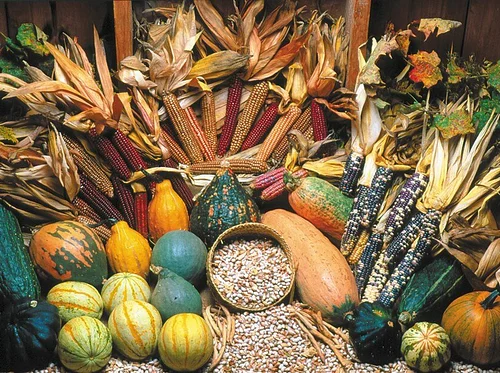 Garden to Table: A Plethora of Produce