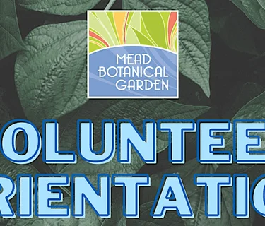 Volunteer Orientation