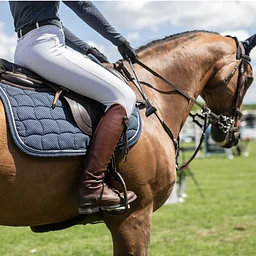 Hi-Point School Horse Show #1