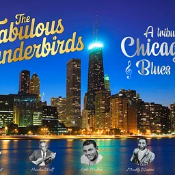 The Fabulous Thunderbirds feat. Kim Wilson: A Tribute to Chicago Blues