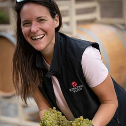 Pop-Up Wine Tasting With St. Innocent