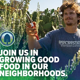 Weekly Volunteer Hours @ Mt. Hope Community Garden