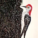 Drawing With Charcoal On Canvas with Marcelina Seda