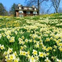 Reeves-Reed Arboretum