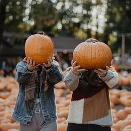 Pumpkin Crafts Week