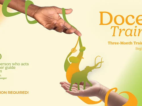 Vertebrate Paleontology Fossil Preparation Course